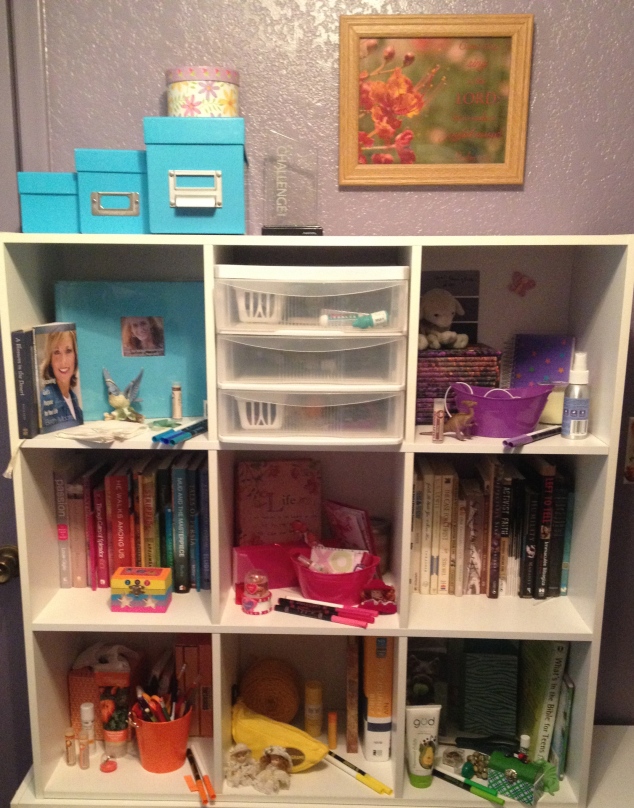 This is where I had the most fun. Six of the cubbies are color coded. After originally organizing like this my brothers had fun sticking some of there things in the right cubby hole. I also really like the way my books are organized.